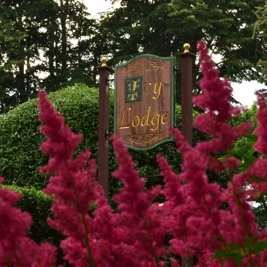 Ivy Lodge Newport Exteriér fotografie